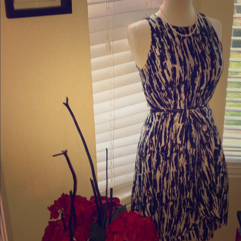 Ann Taylor Dress